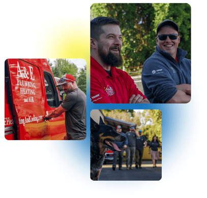 3 images are placed side-by-side stacked of A&E employees, red company vans, and the company mascot dog.