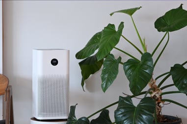 An air purifier sits next to a thriving houseplant, a clear indication of premium indoor air quality.