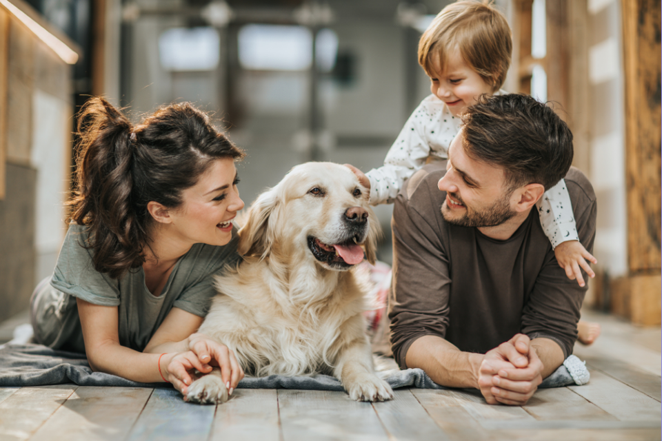 A family of 3 lays in front of the camera, a dog laying between them and the child, who is perched on dad's back, pets the dog.