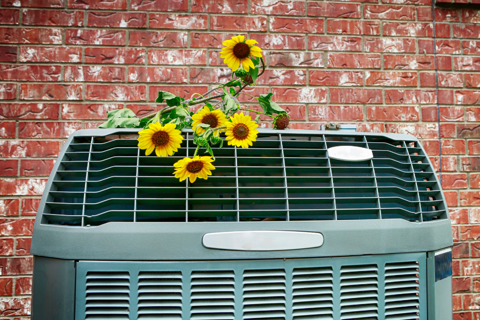 Sunflowers sit on an AC unit with a red brick back-drop.