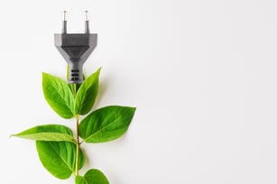 A green vine with leaves turn into a plug, signifying green, clean energy.