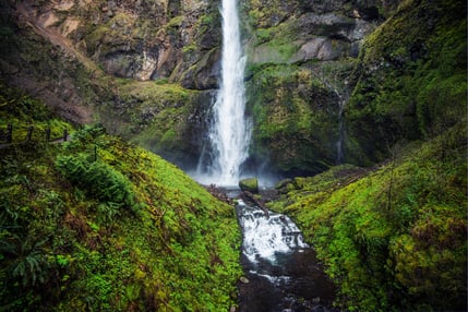 A hiking trail leads up the hill next to a cascading waterfall, surrounded by lush greenery.