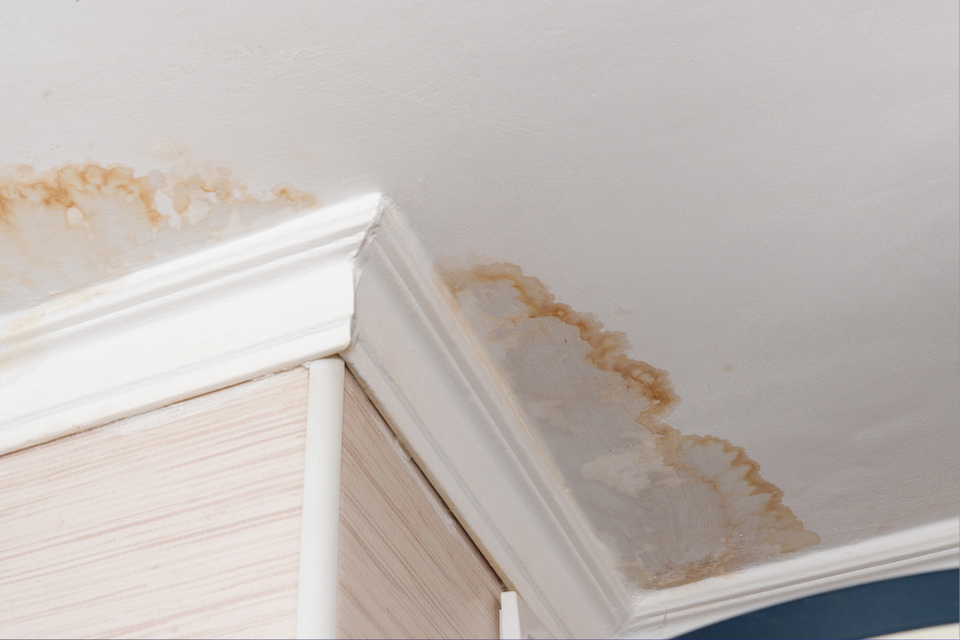 A corner of a residential ceiling with extending yellowness, indicating severe water damage.